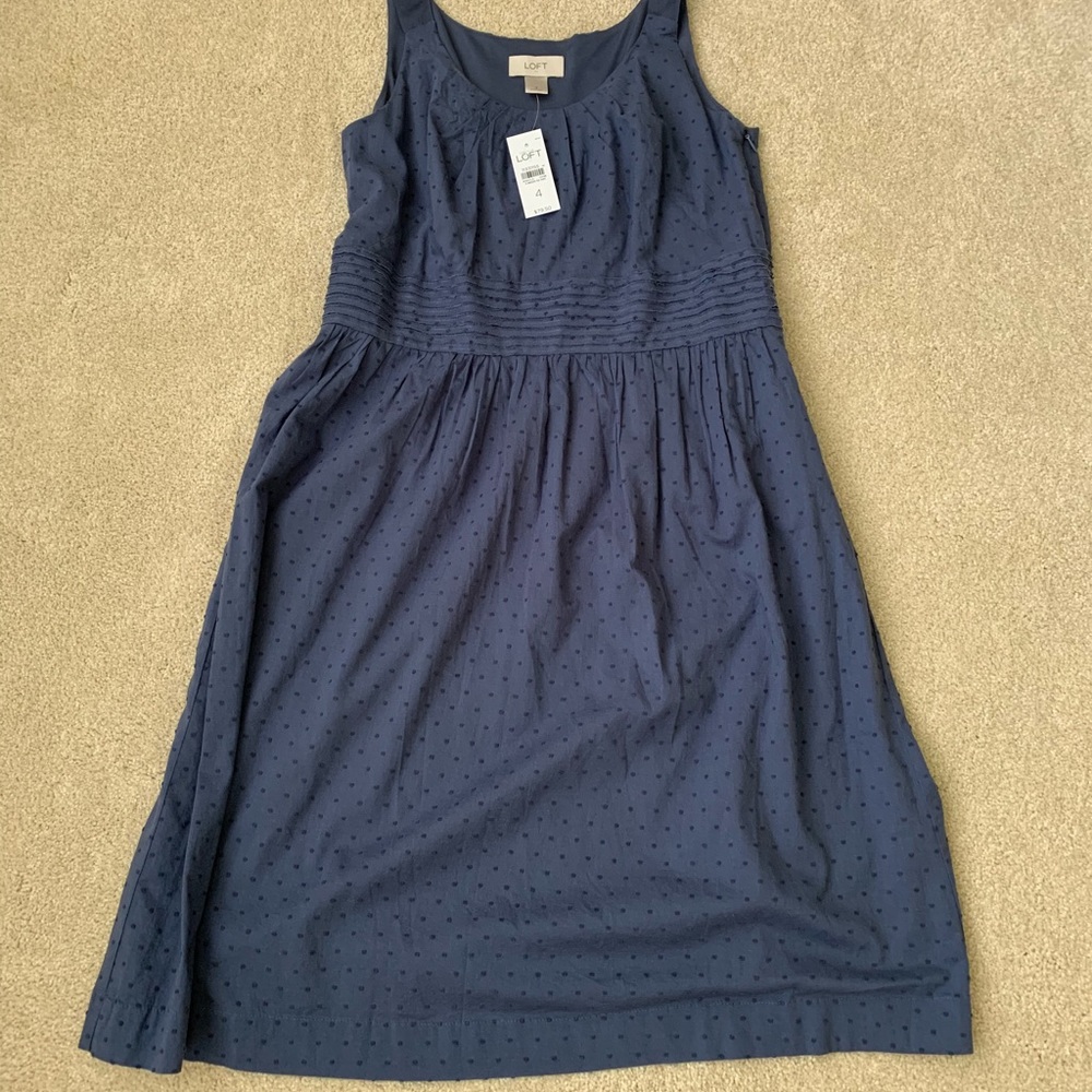Blue Ann Taylor Loft dress